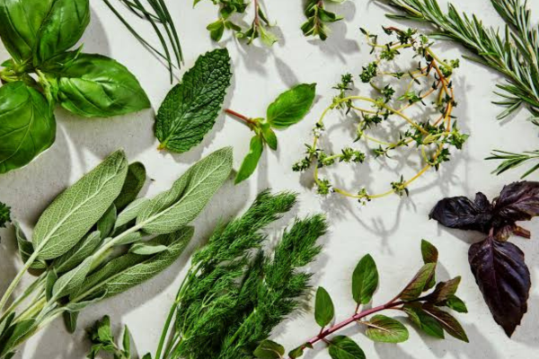 Herbs